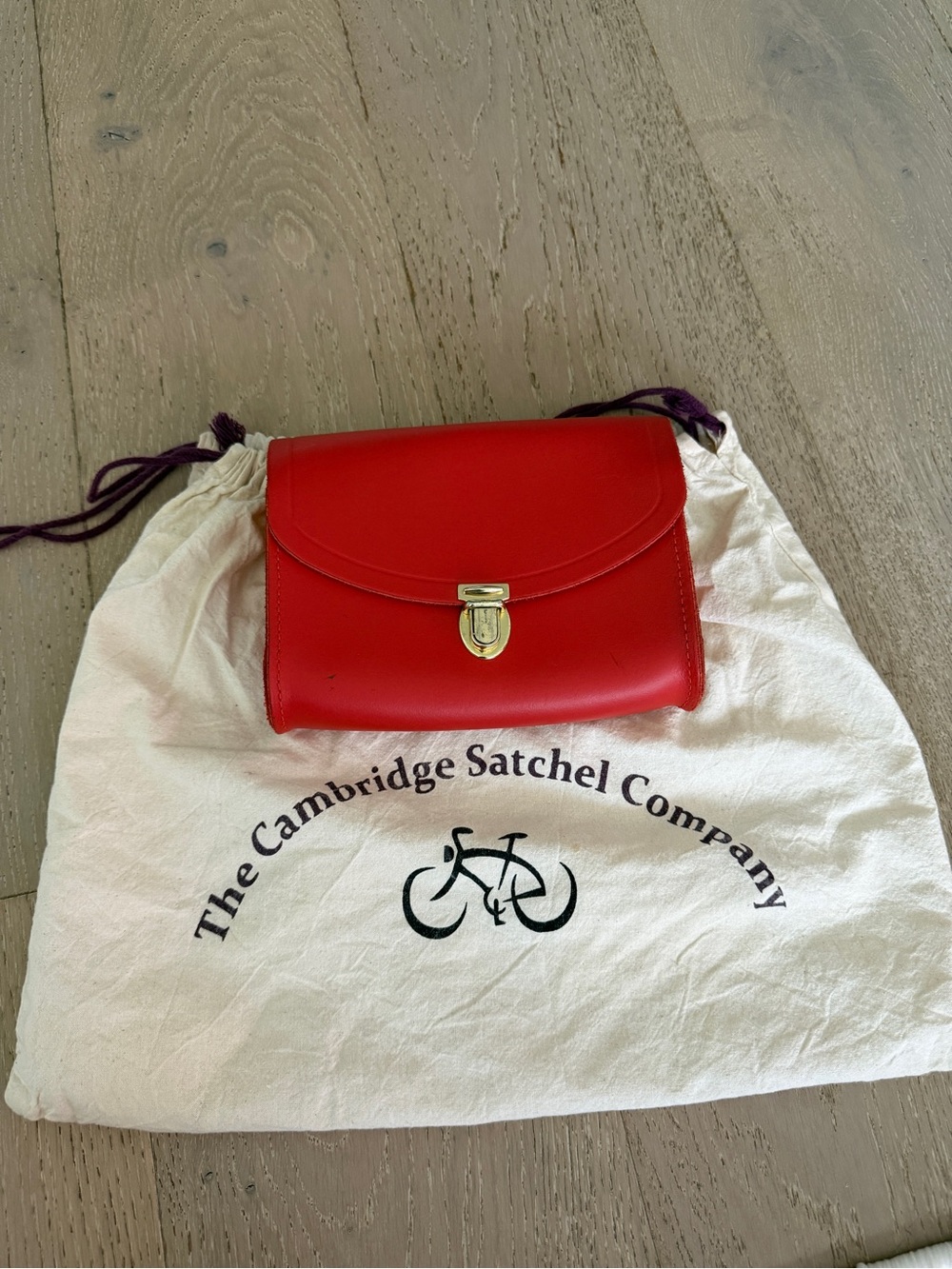 The Cambridge Satchel Company Red Leather Mini Satchel with Gold Hardware